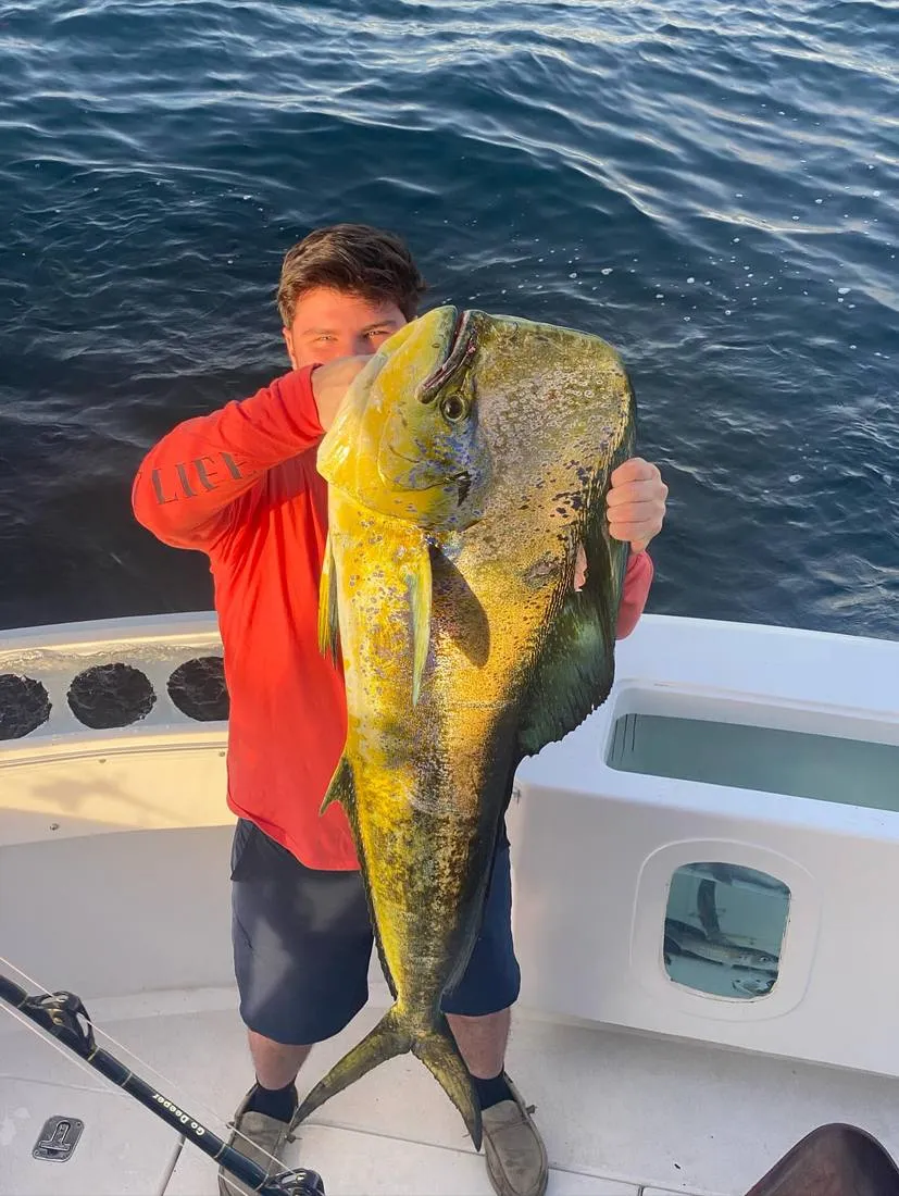 Massive mahi-mahi dorado caught on Lion Heart fishing charter Cabo San Lucas
