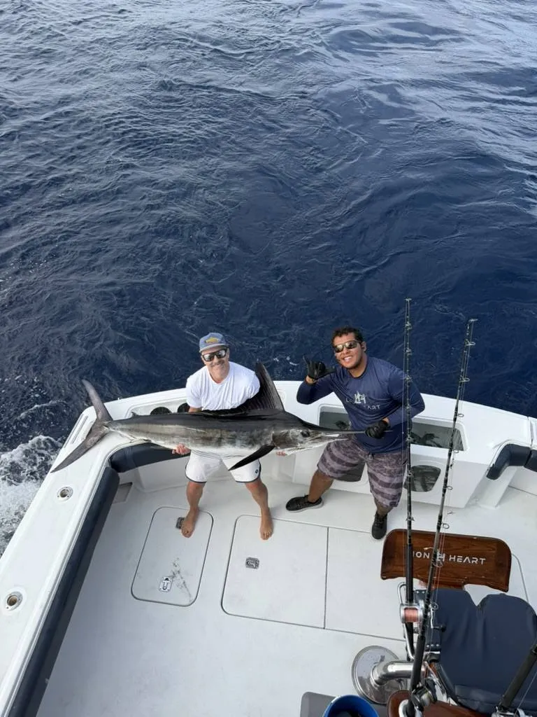 Guests and Lion Heart crew with trophy blue marlin Cabo San Lucas