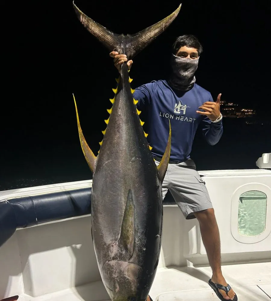 Trophy yellowfin tuna caught on overnight fishing charter Lion Heart Cabo San Lucas