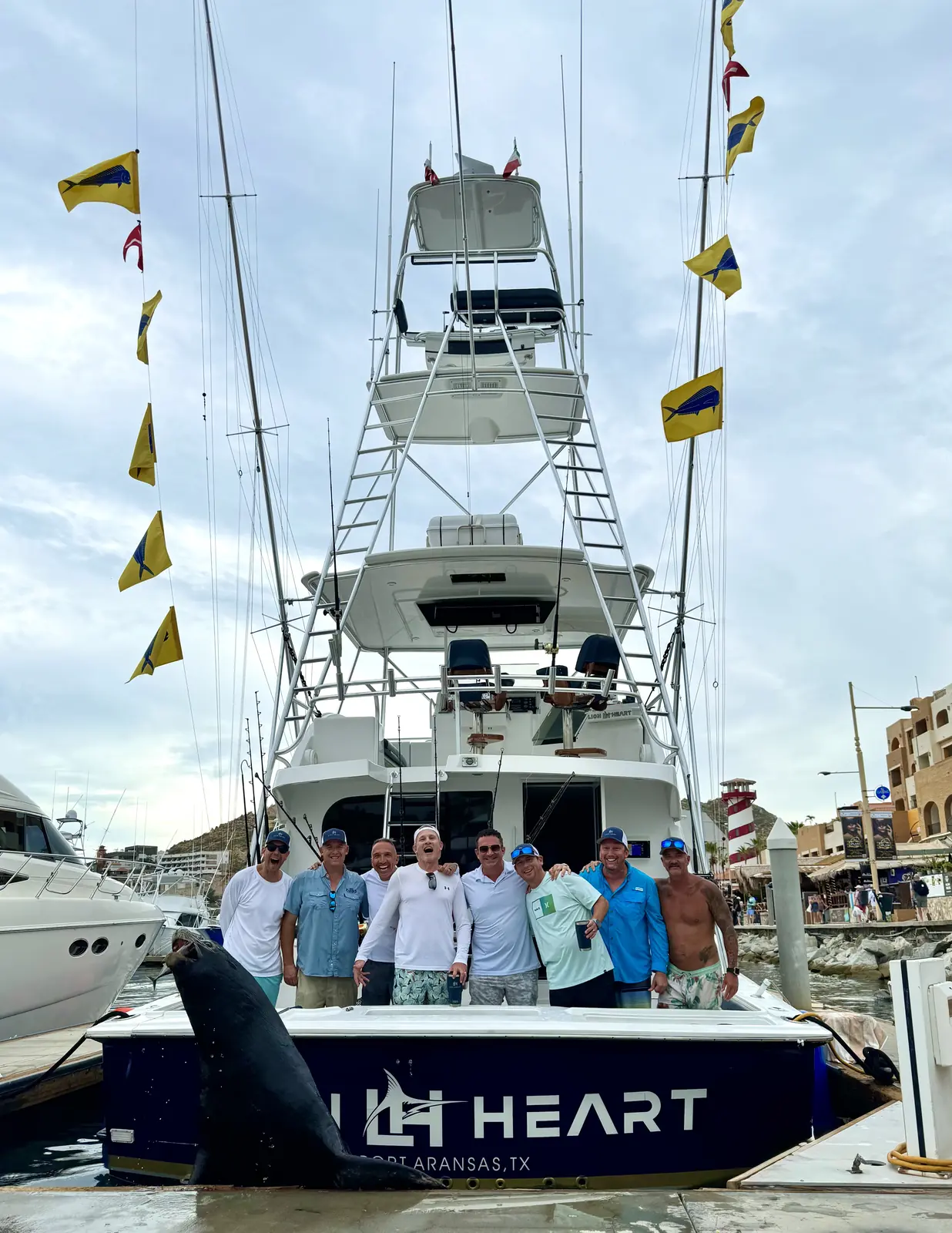 Lion Heart transom and cockpit