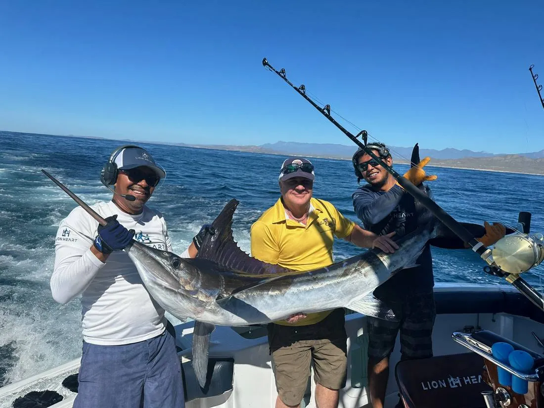 Yellowfin tuna catch aboard Lion Heart sport fishing yacht Cabo San Lucas